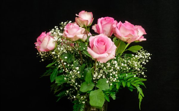 Букет роз на красивом фоне
