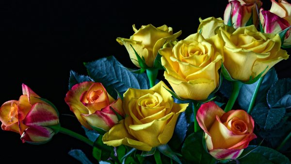 Букет желтых роз