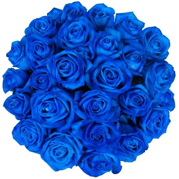 Цветы розы синие