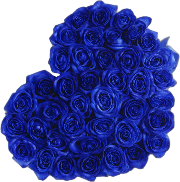 Шикарный букет из синих роз