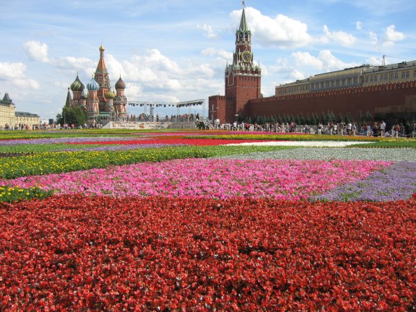 Цветы на красной площади
