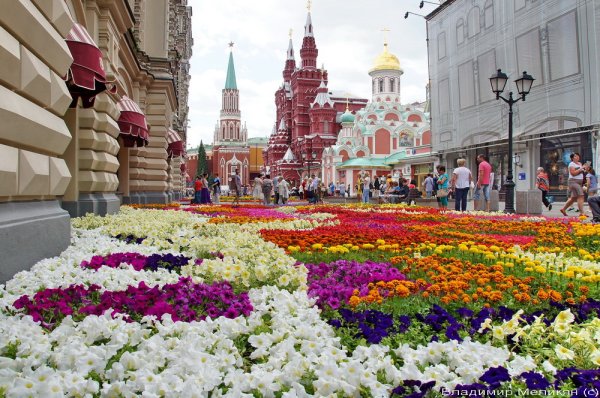 Парк Зарядье в Москве цветы
