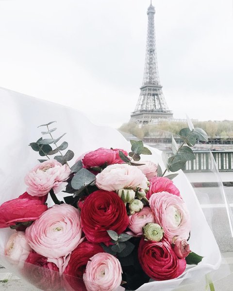 Букет цветов на фоне парижа