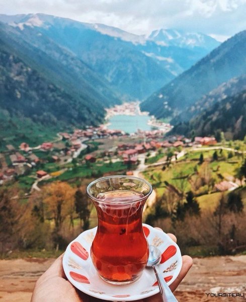 Чай в горах Дагестана