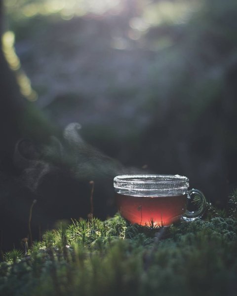 Чай на природе Эстетика