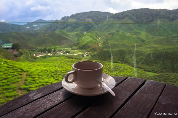 Кружка чая в горах