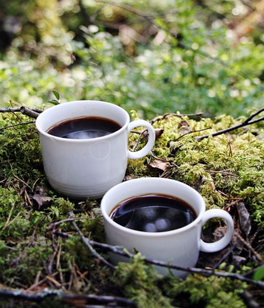 Кофе на природе