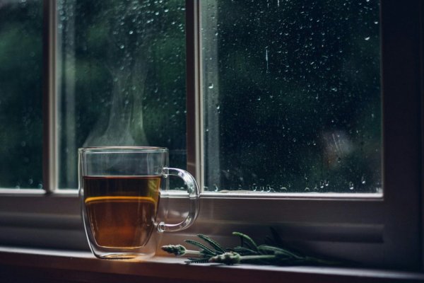 Чай и дождь за окном