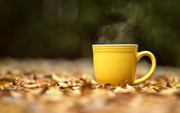 Осенняя чашка