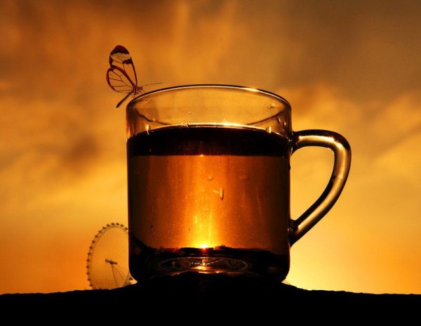 Кружка чая на закате