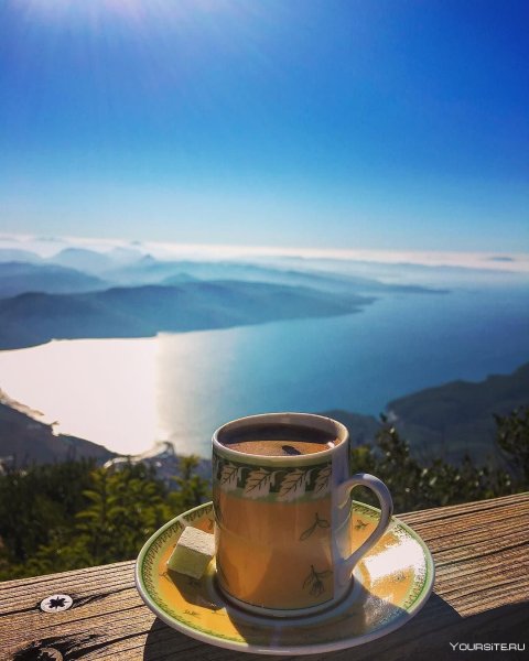 Чашка кофе на фоне природы