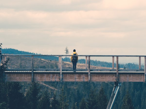 Человек на мосту