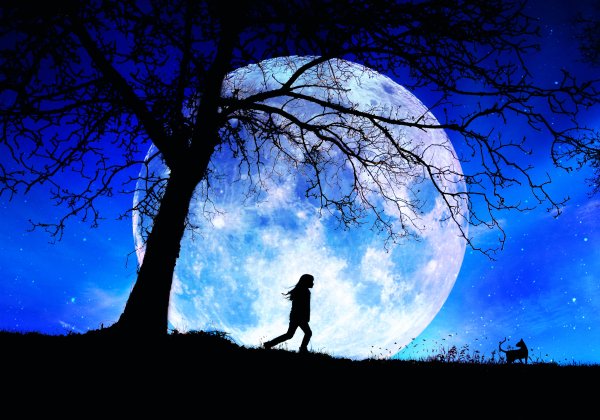 Ночь Луна человек