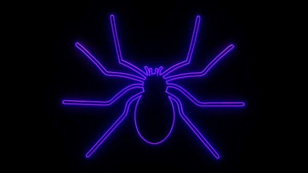 Неоновый паук