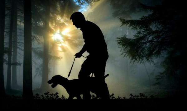 Охотник с собакой