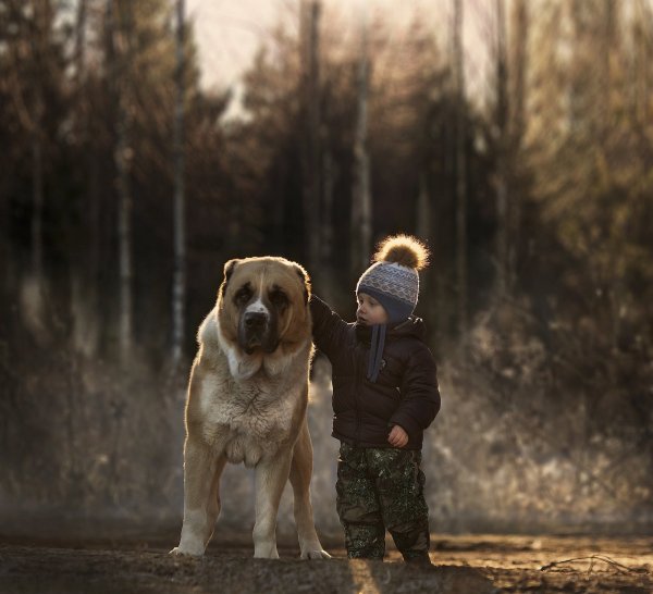 Фотохудожник Елена Шумилова