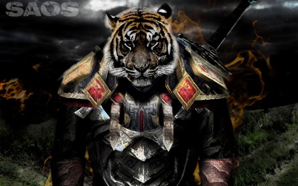 Тигр рыцарь