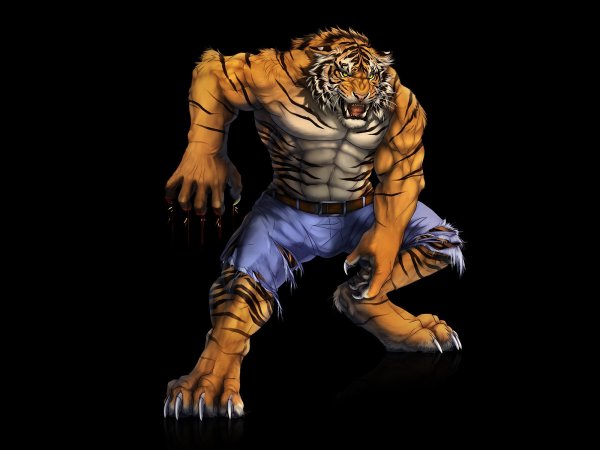 Тигр мышцы