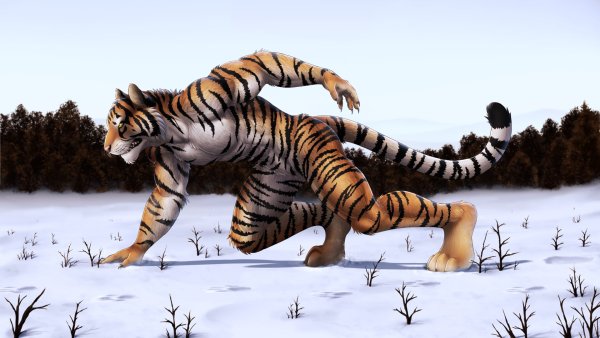 Арт фурри тигра