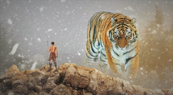Человек тигр обои