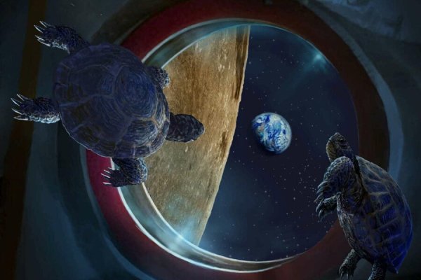 Зонд 5 черепахи в космосе