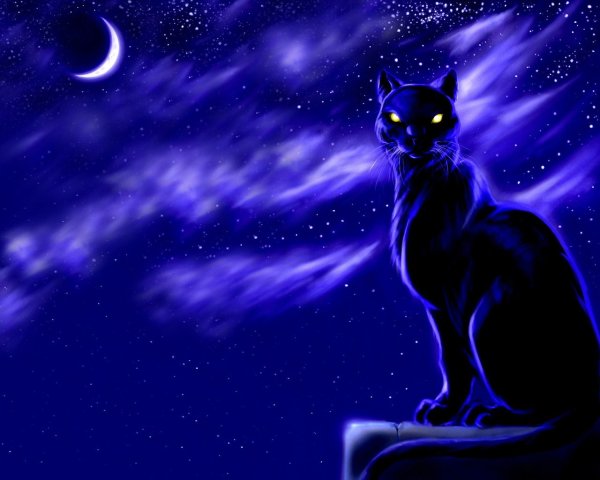 Лунная звезда коты Воители
