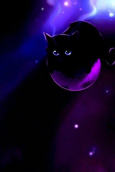 Чёрный кот с фиолетовыми глазами