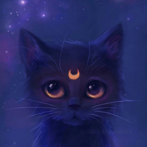 Черные коты на фиолетовом фоне
