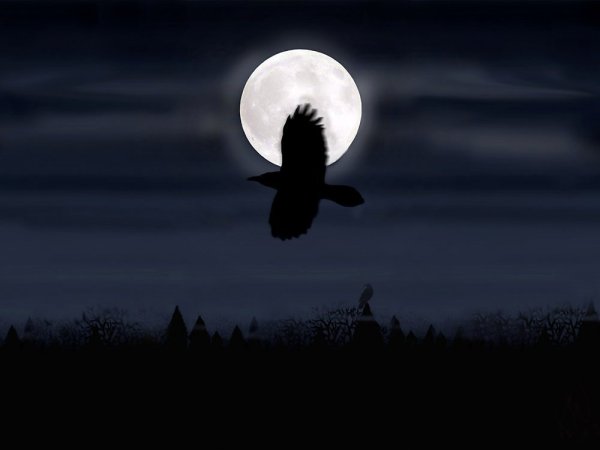 Ночь Луна ворона