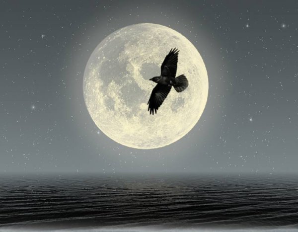 Луна и вороны