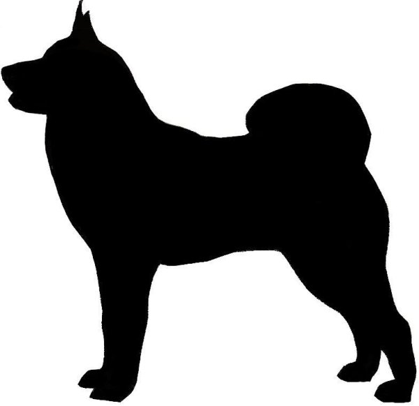 Черный силуэт собаки