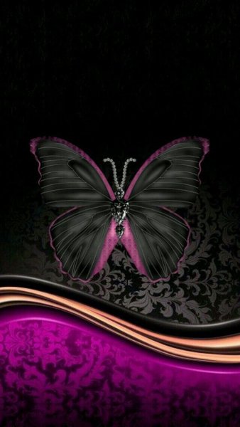 Черный фон бабочка и цветок