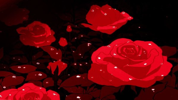 Красные розы аниме