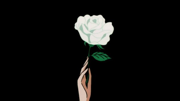 Белые розы аниме