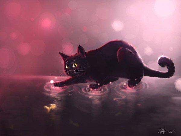 Черный кот на розовом фоне