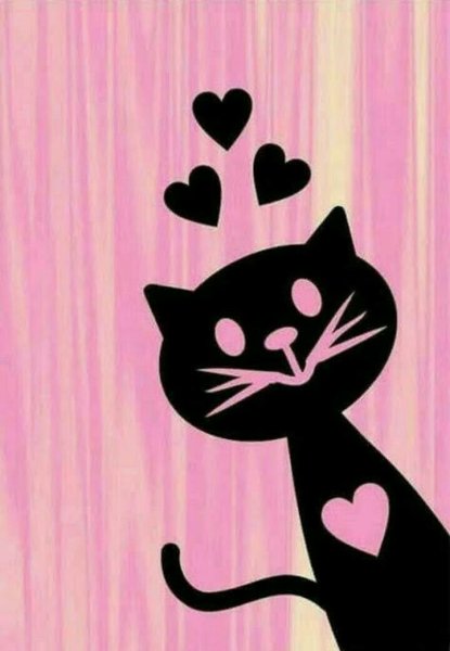 Котик черно розовый