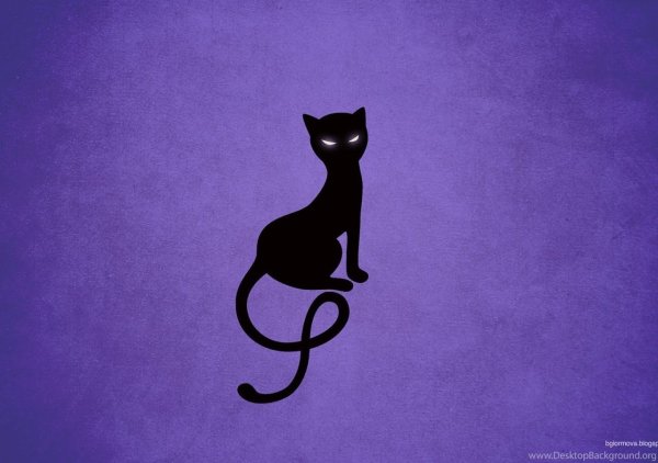 Кот на фиолетовом фоне