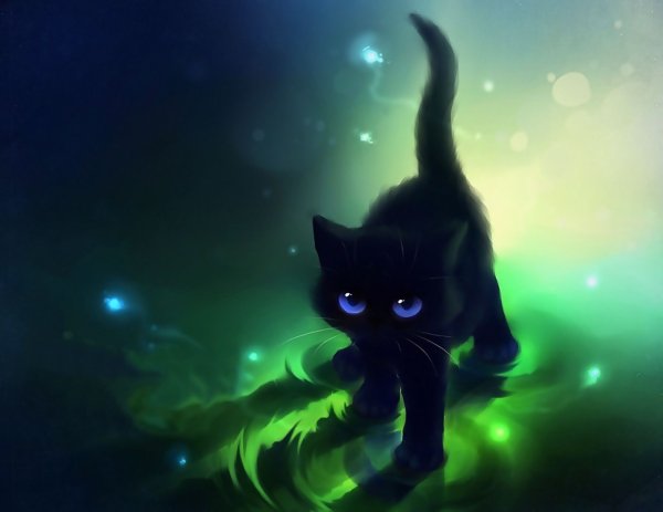 Кот аниме чёрный коты Воители