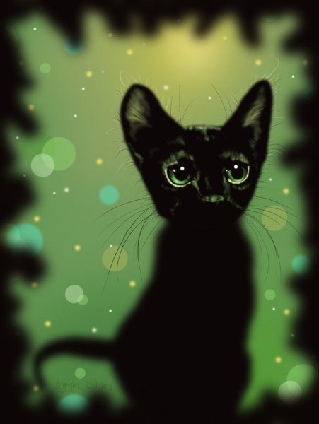 Милый черный кот