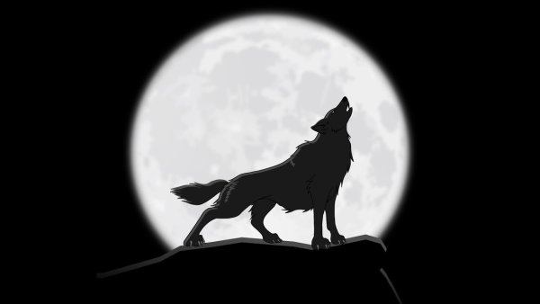 Белый волк на фоне Луны