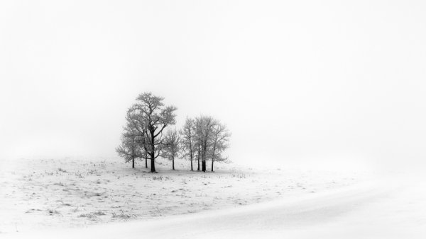 Белый заснеженный пейзаж