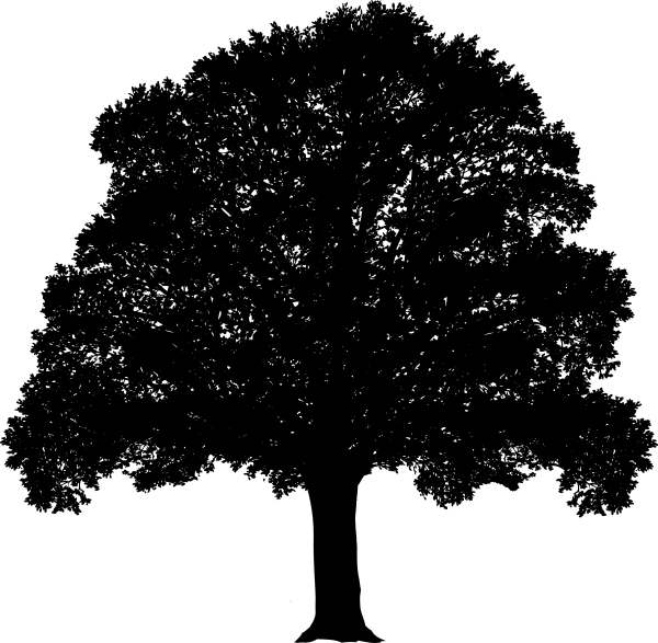 Силуэт дерева черно белый
