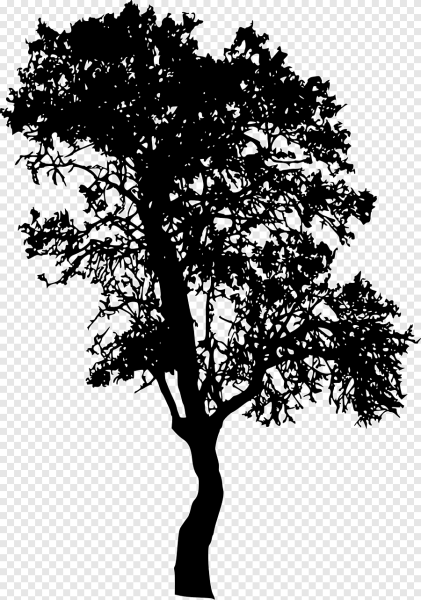 Черный силуэт дерева
