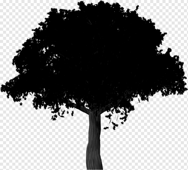 Черное дерево на белом фоне