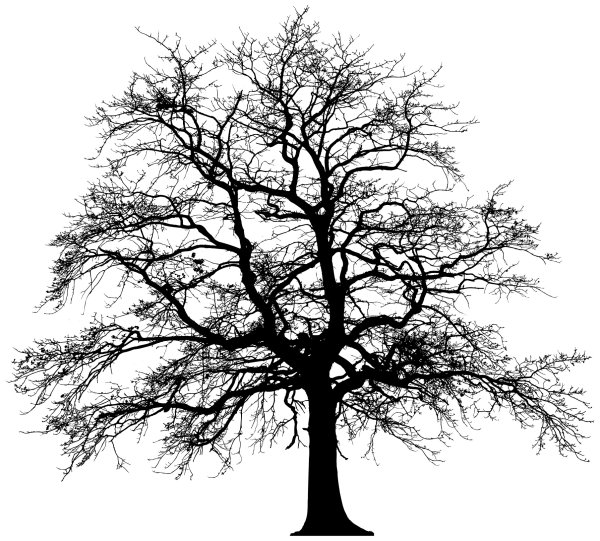 Силуэтные изображения деревьев