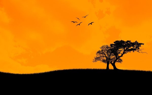 Черно-оранжевый пейзаж
