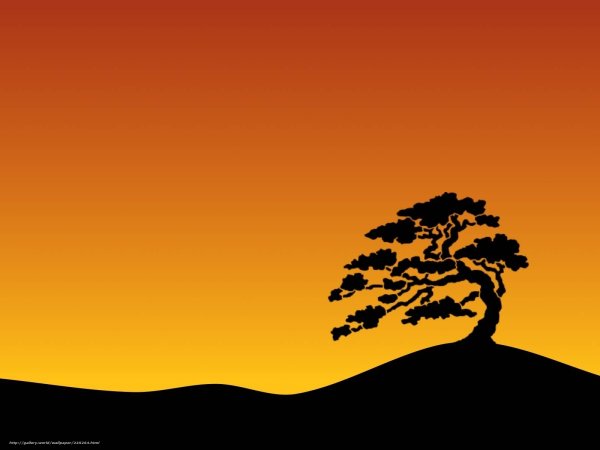 Дерево на оранжевом фоне