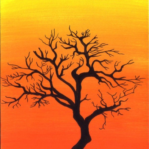 Рисование деревья на закате