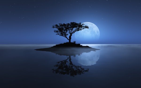 Дерево на фоне луны