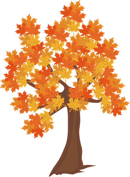 Осеннее дерево на белом фоне